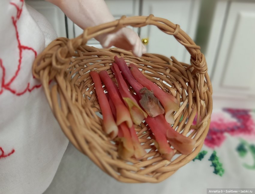 Готовим вместе с Гюльденштедтией фон Монфиллой пирог со спаржей и варенье из ревеня | Бэйбики Готовим вместе с Гюльденштедтией фон Монфиллой пирог со спаржей и варенье из ревеня (фото 6)