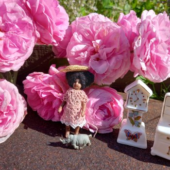 Шалости Корицы