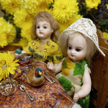 Хризантемы, дичь, жуки