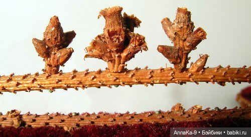 Самые необычные материалы для кукольной мебели