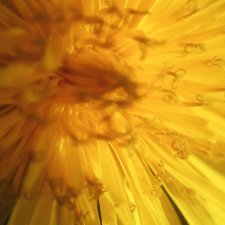 А на улице осень