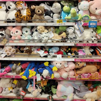 Зыринг. Январь. Большая сеть магазинов