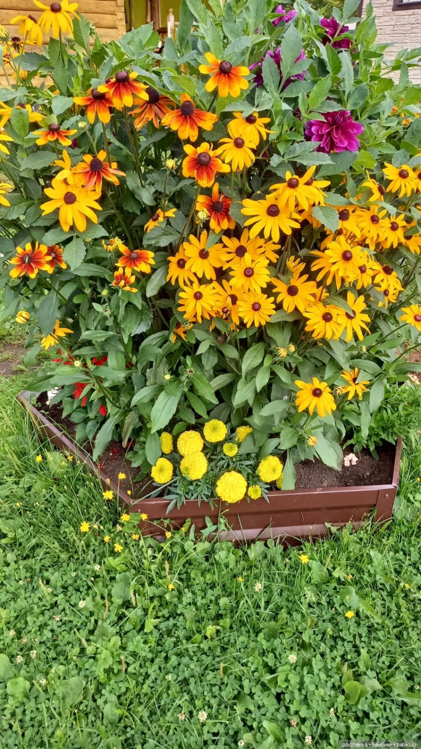 Лето это маленькая жизнь — Куклы Annette Himstedt (Аннетт Химстедт): коллекционные