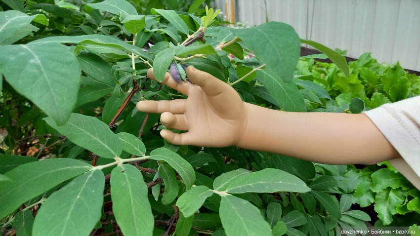 Лето это маленькая жизнь — Куклы Annette Himstedt (Аннетт Химстедт): коллекционные