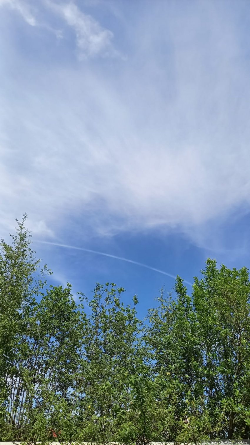 Лето это маленькая жизнь — Куклы Annette Himstedt (Аннетт Химстедт): коллекционные