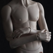 Мужское тело migidoll