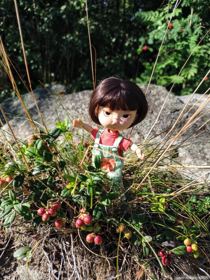 Те, кто не поместился — Коллекции игровых кукол (Playline): фото полок (фото 9)