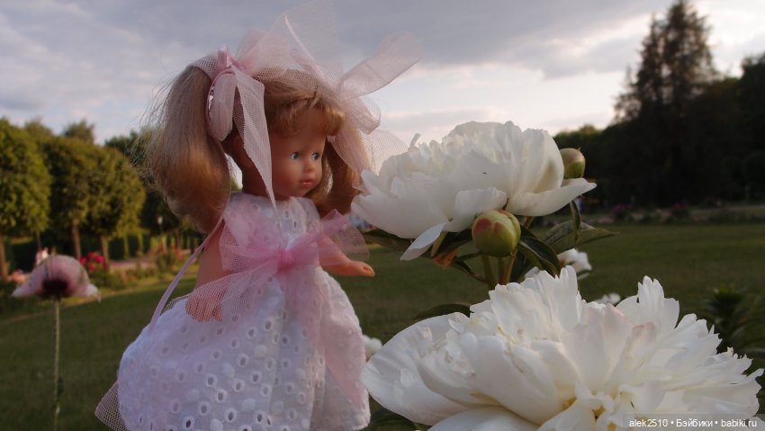 Corolle les cheries J10 (ч.2)