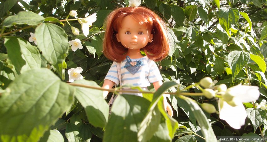 Corolle les cheries J10 (ч.2)