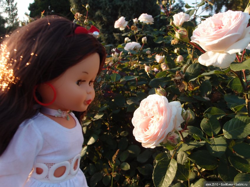 Нэнси Фамоса перевыпуск — Куклы Nancy Famosa (Ненси Фамоза): коллекционные перевыпуски