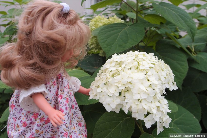 Селия Celia Asi — Куклы ASI (Аси): испанские пупсы