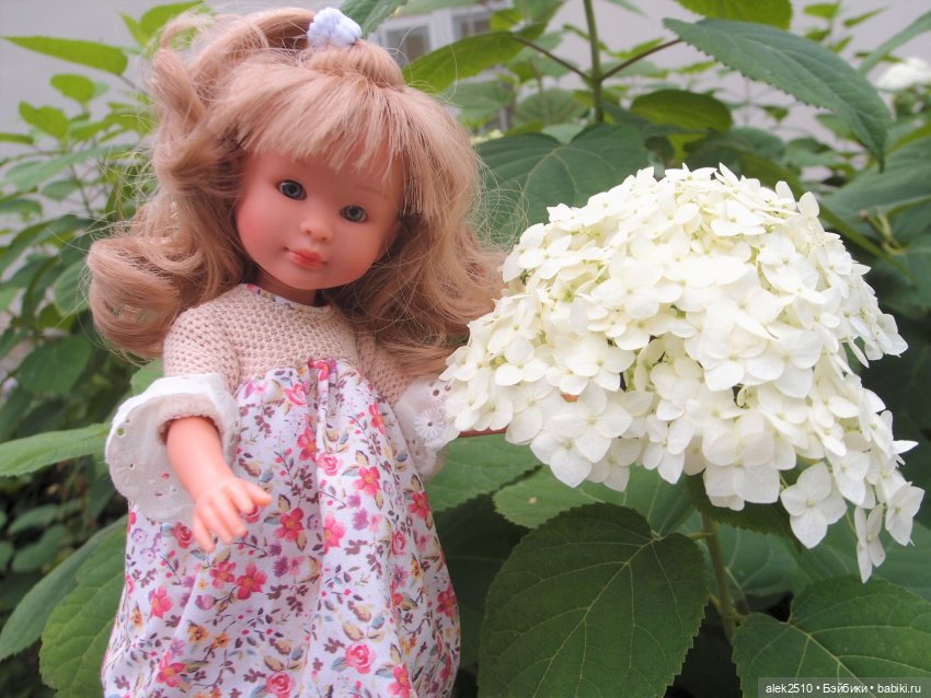 Селия Celia Asi — Куклы ASI (Аси): испанские пупсы