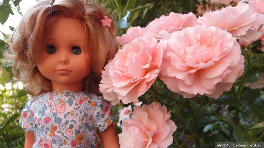 Pluti и Oberlind на прогулке (фото 6)