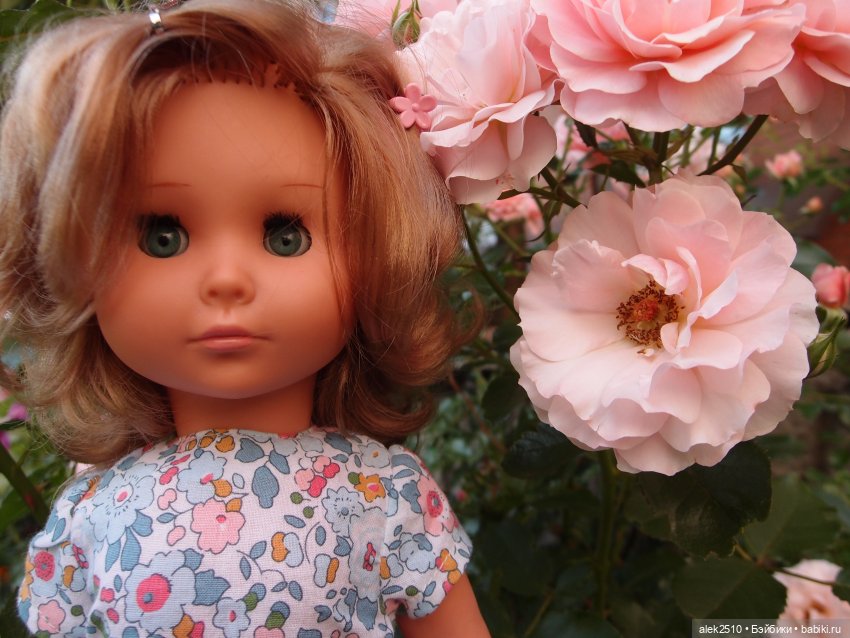 Pluti и Oberlind на прогулке (фото 7)