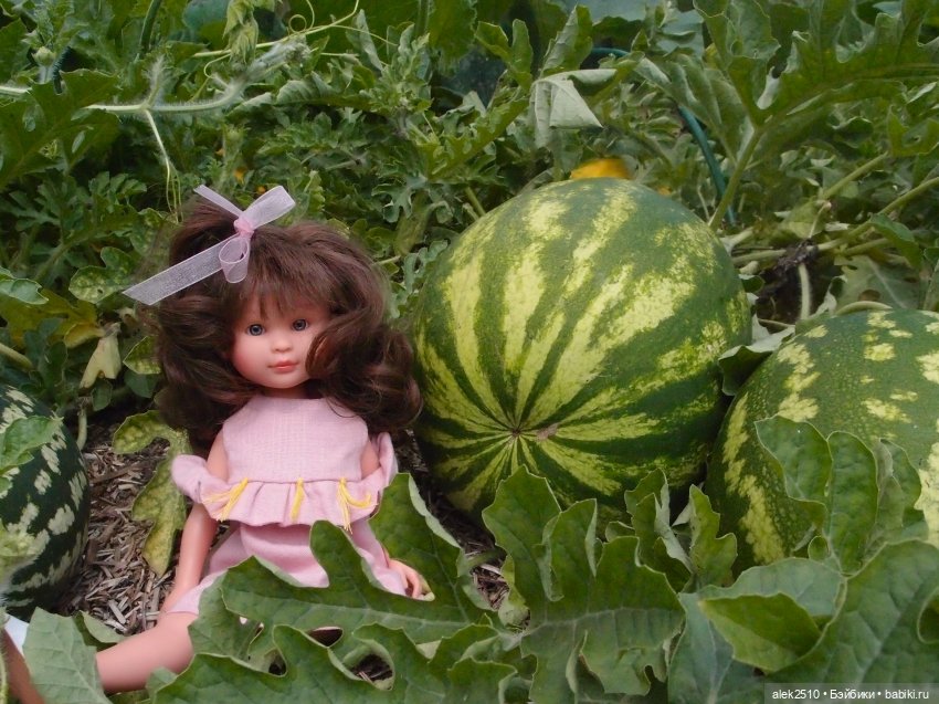 Летние Селии — Куклы ASI (Аси): испанские пупсы