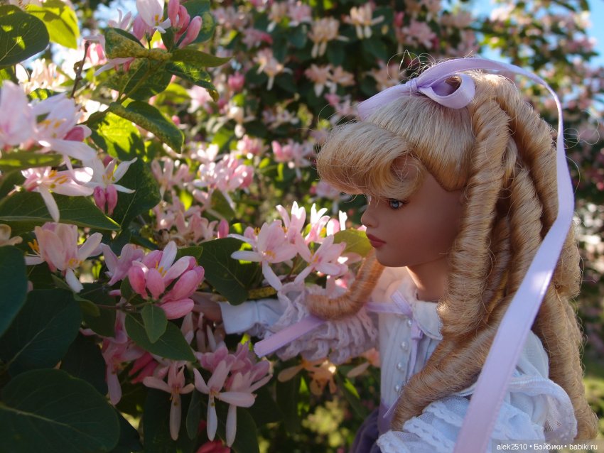 Robert Tonner Alice Afternoon visit