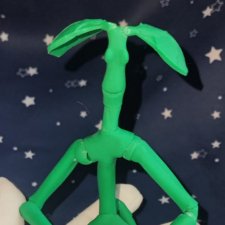 Лукотрус (Личурка) Пикетт