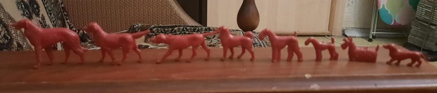 В детстве приглашала их обедать со мной, потому зову их нахлебниками ))