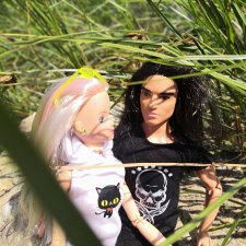 О степных озерах и навязчивых друзьях