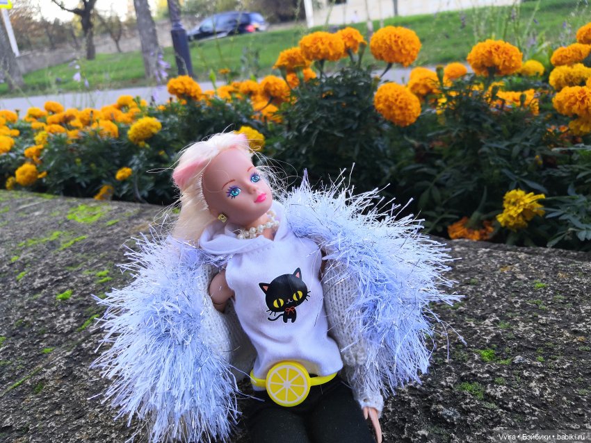 Вечер. Сентябрь. Сара — Гибриды шарнирных кукол (не БЖД): подбор тела (фото 10)