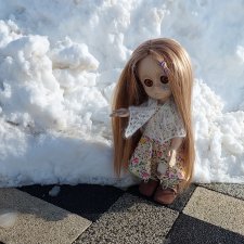 Слёзка на снегу