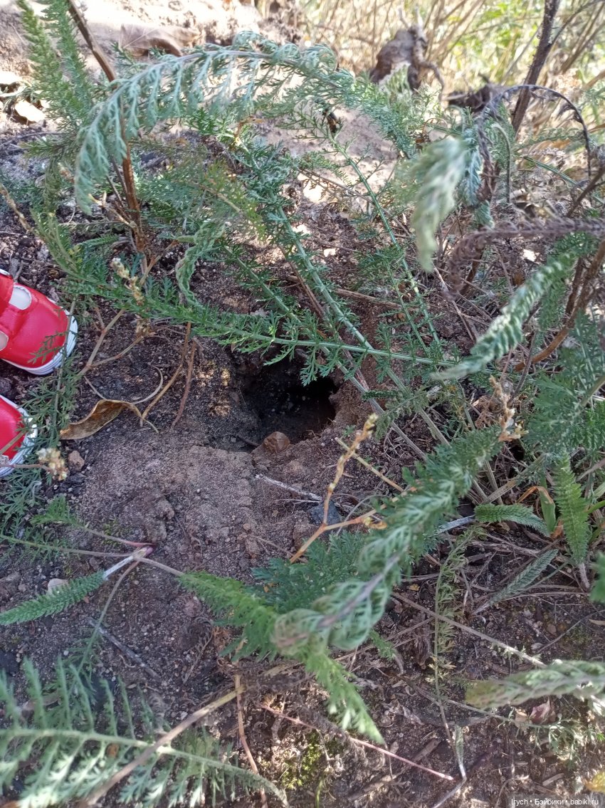 Тёплый денёк — Советские винтажные куклы (СССР): Ленигрушка (фото 5)