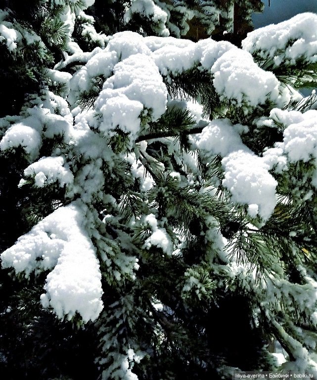 А за окном то дождь, то снег