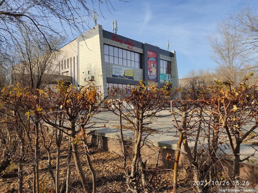 Кинотеатр Ботакоз в 2021