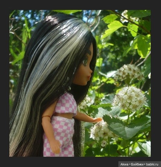 Лето и фотографии — Игровые куклы разных производителей (Разное): редкие бренды (фото 3)