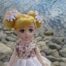 Лето и фотографии.