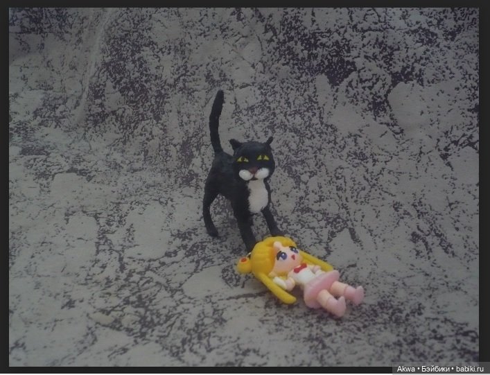 Фоточетверг. Все началось с кота (фото 4)