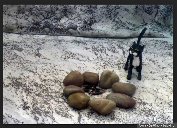 Фоточетверг. Все началось с кота