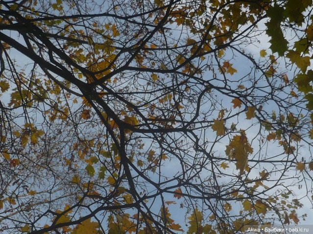 Осенние мгновения — Игровые куклы разных производителей (Разное): редкие бренды (фото 4)