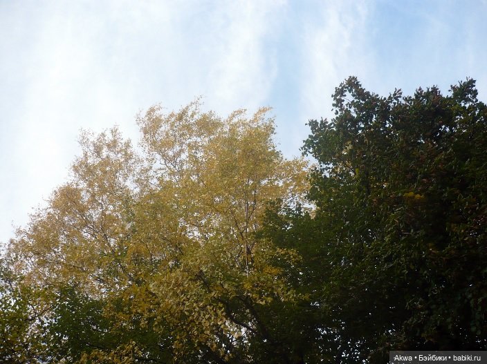 Осенние мгновения — Игровые куклы разных производителей (Разное): редкие бренды (фото 5)