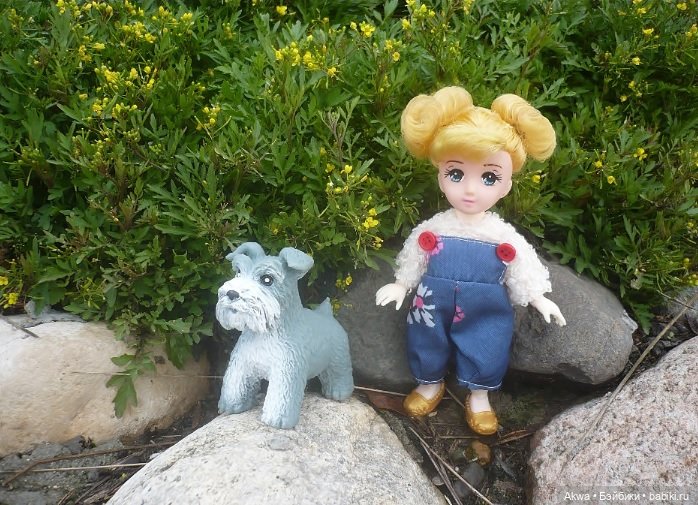 Осенние мгновения — Игровые куклы разных производителей (Разное): редкие бренды (фото 6)