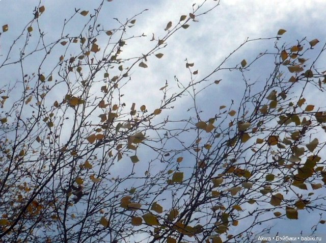 Осенние мгновения — Игровые куклы разных производителей (Разное): редкие бренды (фото 3)