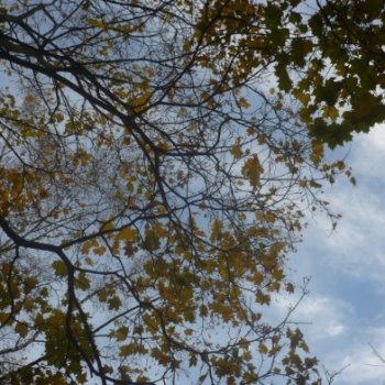 Осенние мгновения