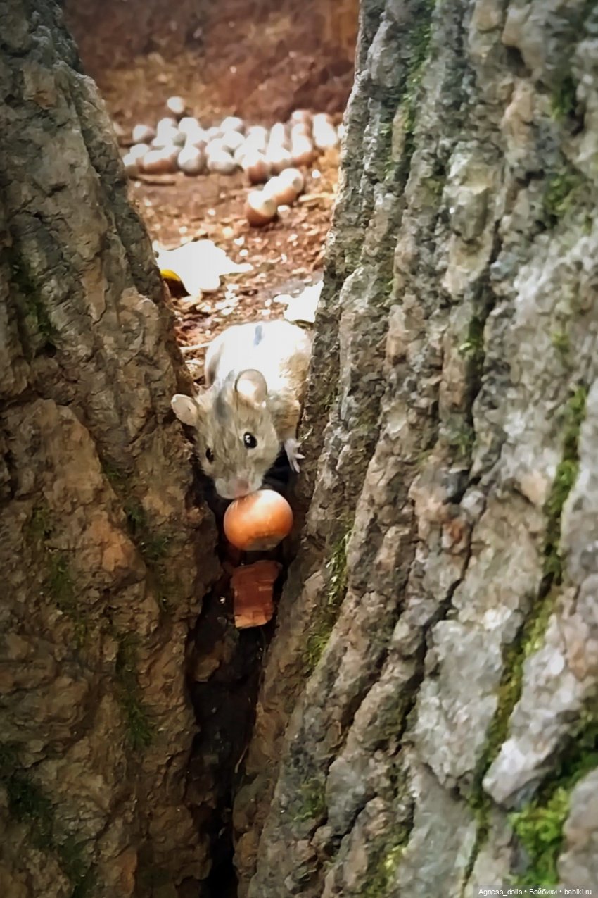 По погоде — Куклы Paola Reina (Паола Рейна): новинки (фото 8)