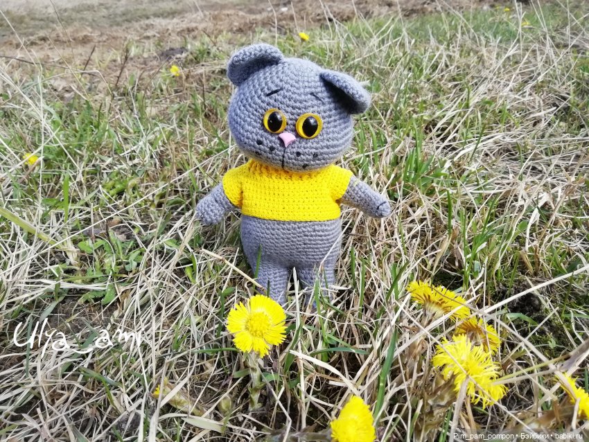 Мой желтоглазый доктор — Вязаные игрушки и амигуруми: крючком (фото 3)