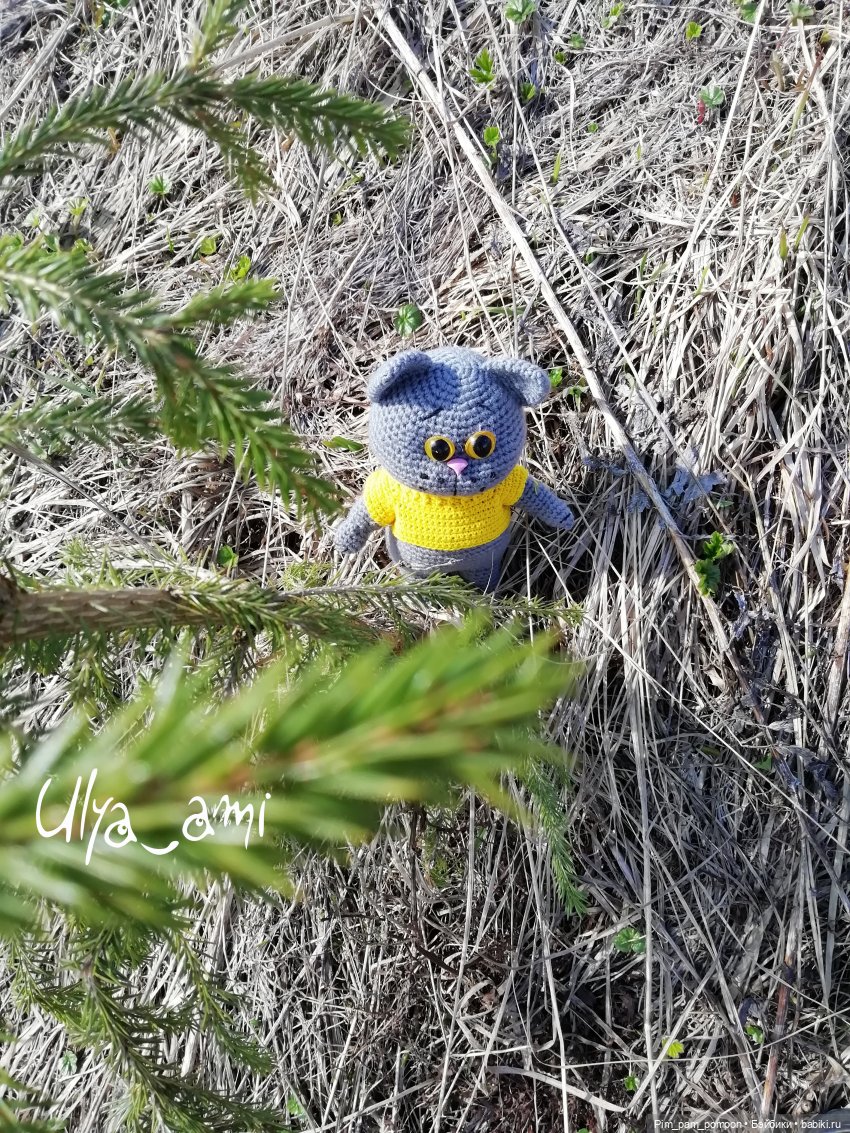Мой желтоглазый доктор — Вязаные игрушки и амигуруми: крючком (фото 4)