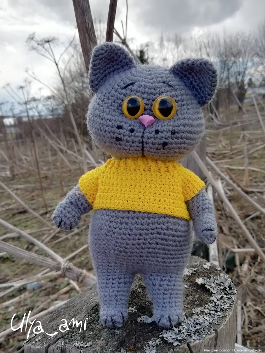 Мой желтоглазый доктор — Вязаные игрушки и амигуруми: крючком (фото 6)