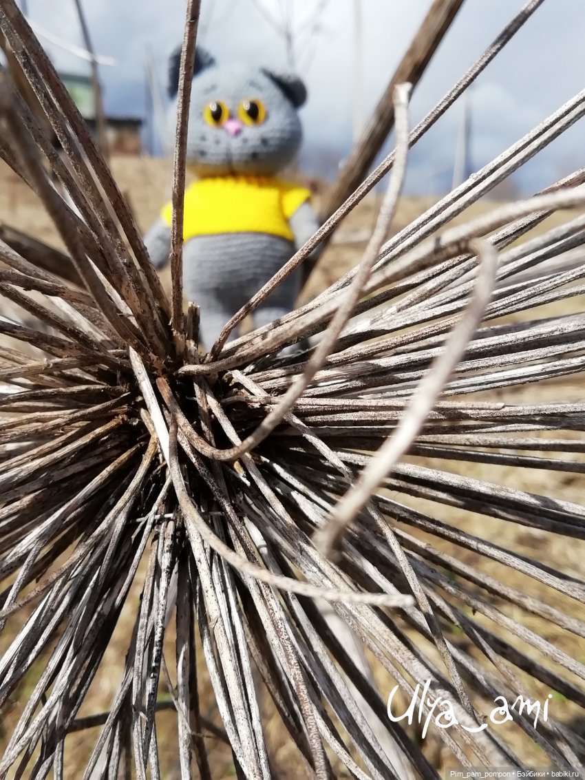 Мой желтоглазый доктор — Вязаные игрушки и амигуруми: крючком (фото 7)