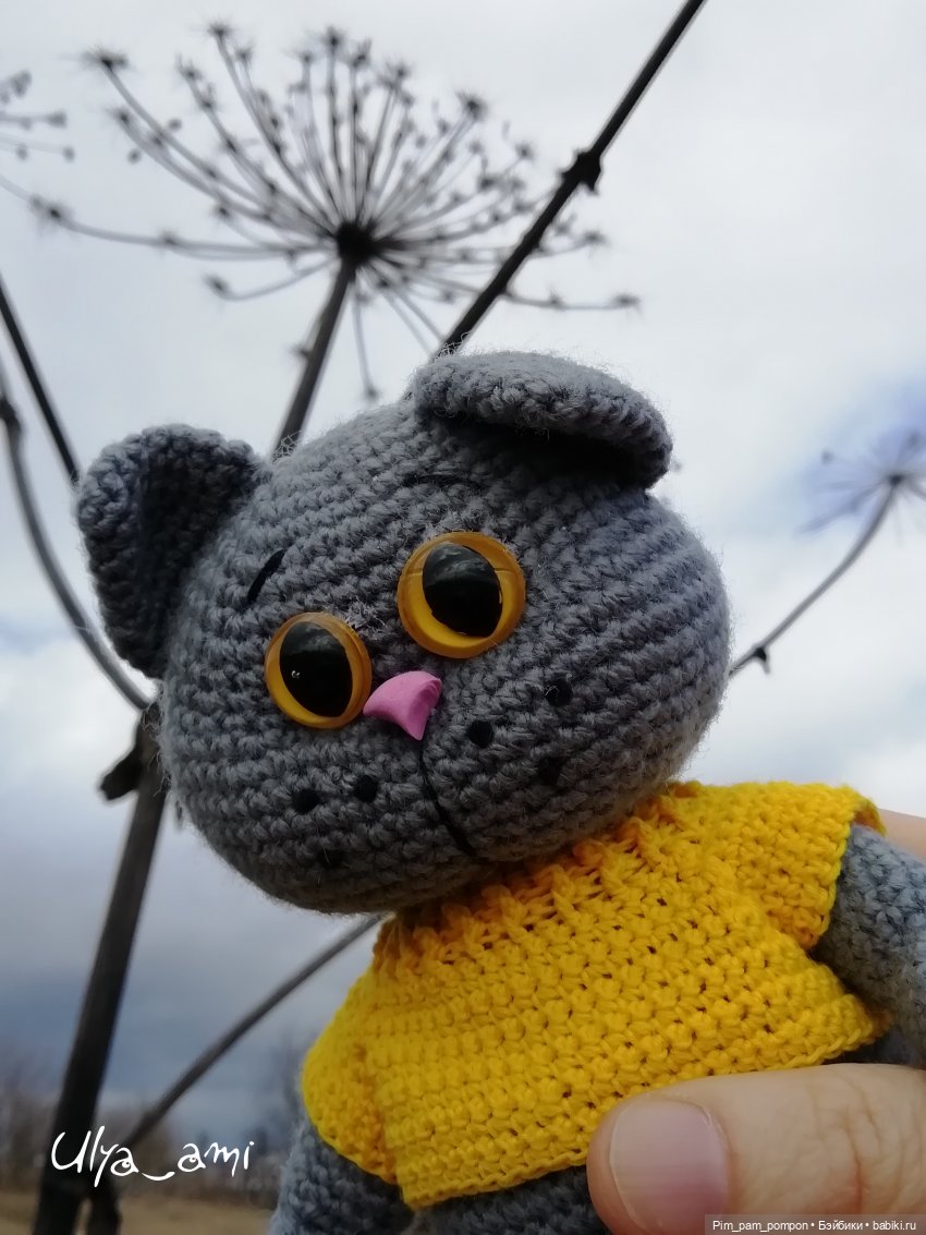 Мой желтоглазый доктор — Вязаные игрушки и амигуруми: крючком (фото 8)