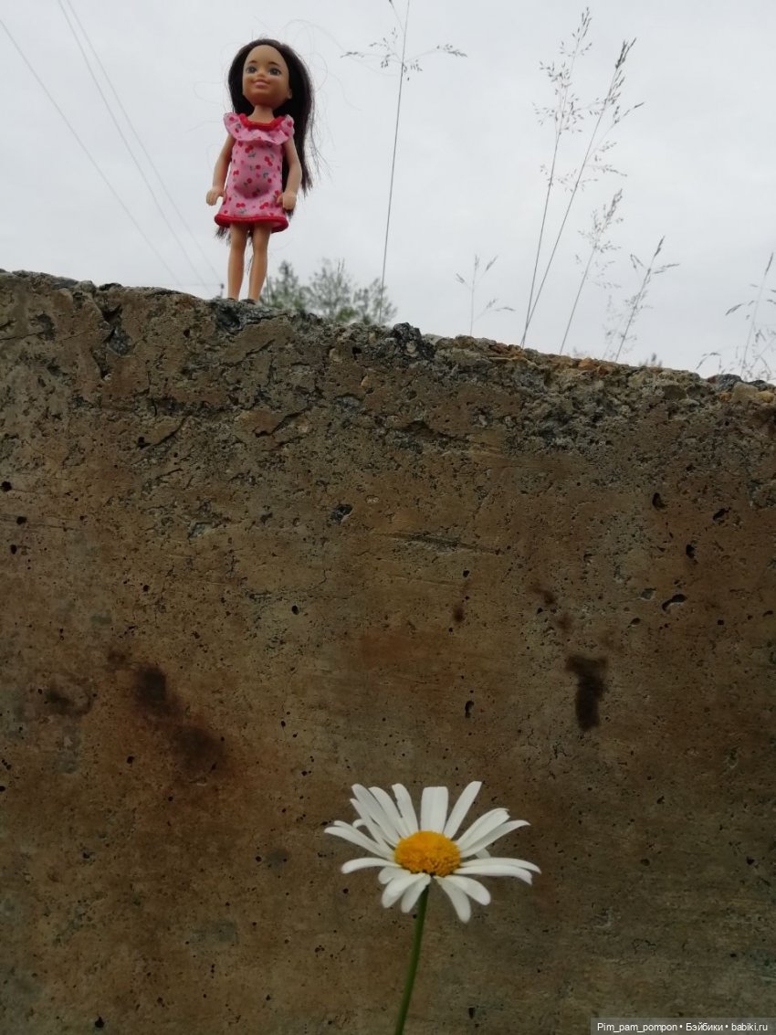 Интрига затянулась... Я не специально (фото 3)