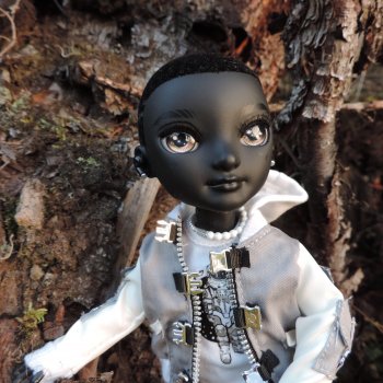 Тени в осеннем лесу