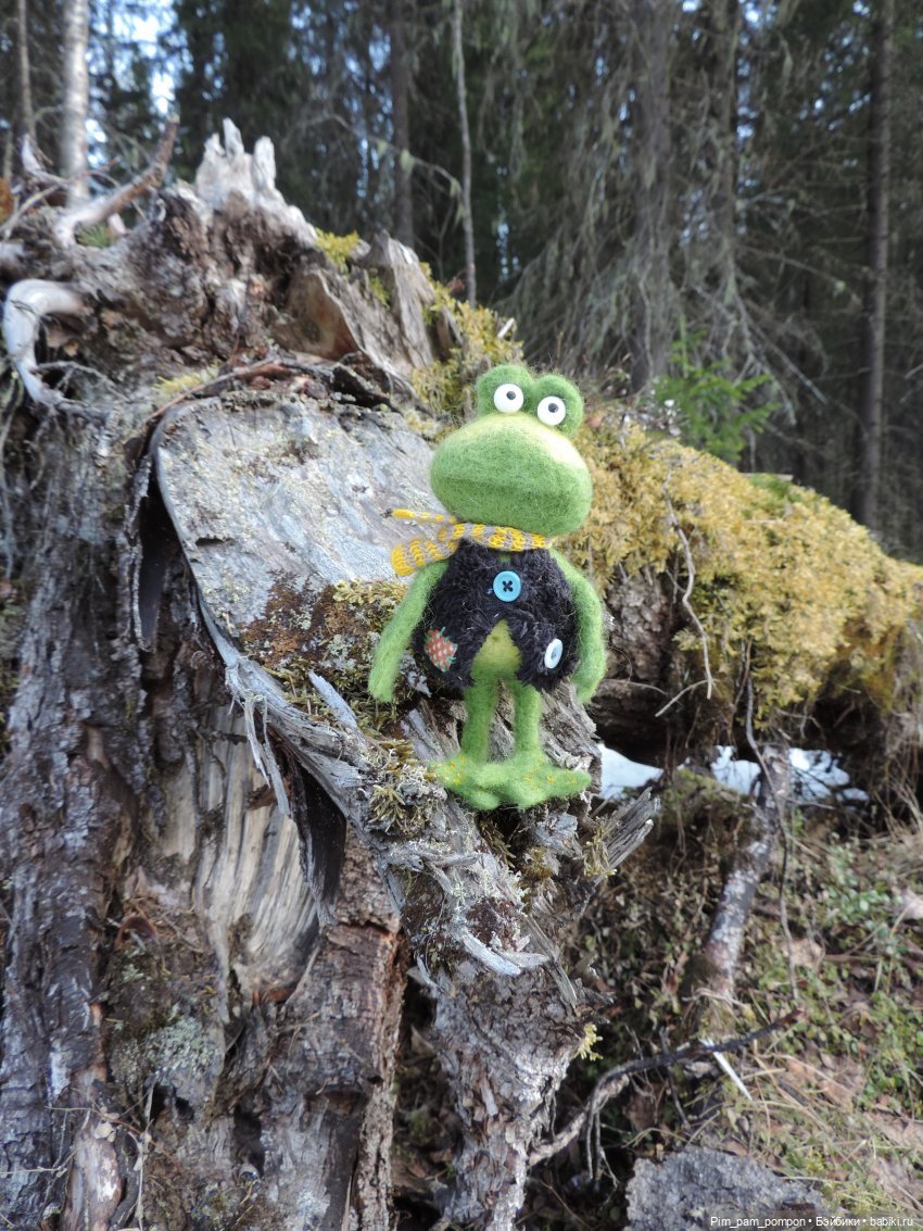 Мистер Фред Фрай Фрог потерял весну (фото 4)