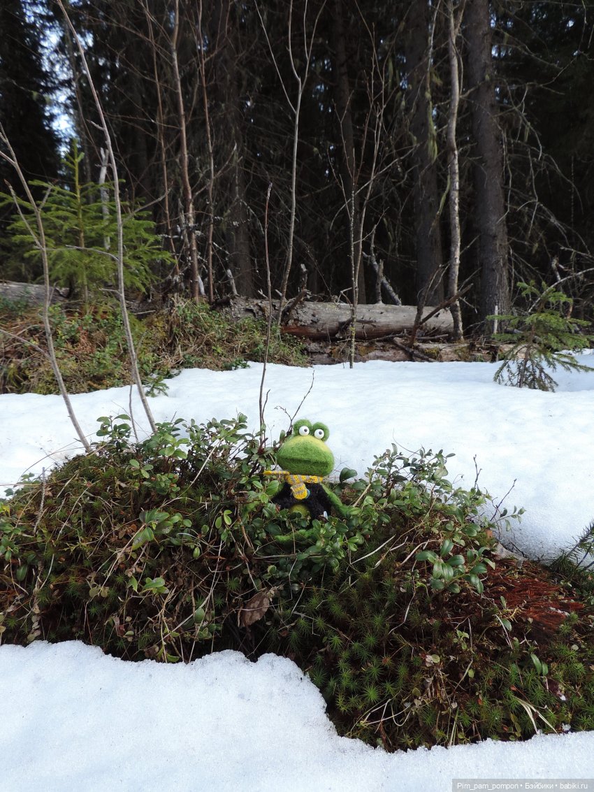 Мистер Фред Фрай Фрог потерял весну