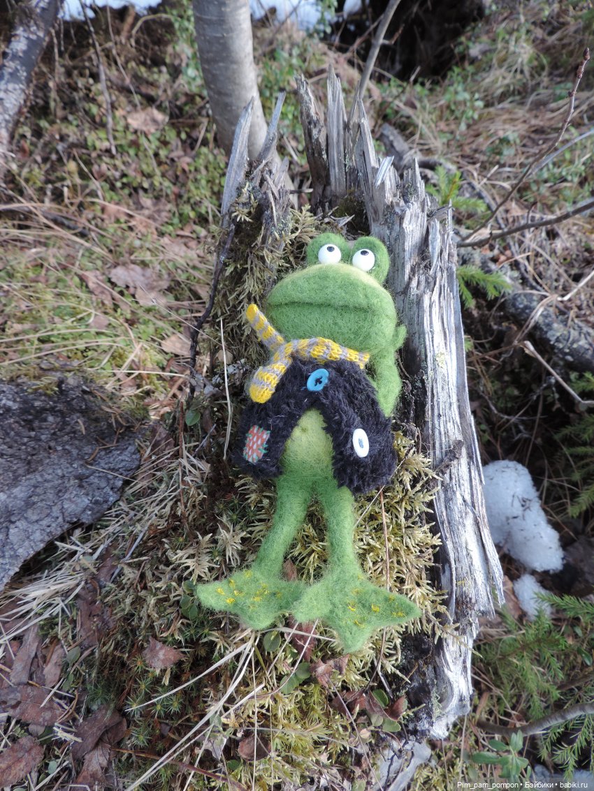 Мистер Фред Фрай Фрог потерял весну (фото 5)