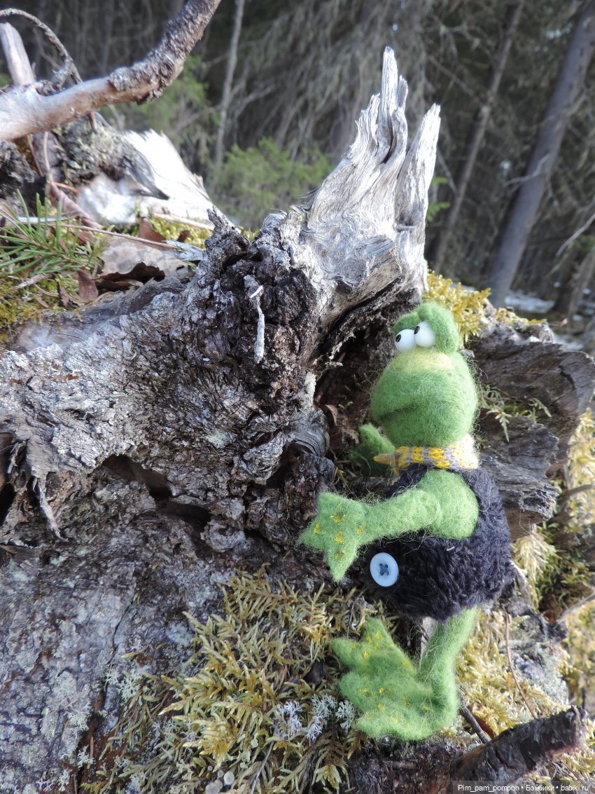 Мистер Фред Фрай Фрог потерял весну (фото 3)