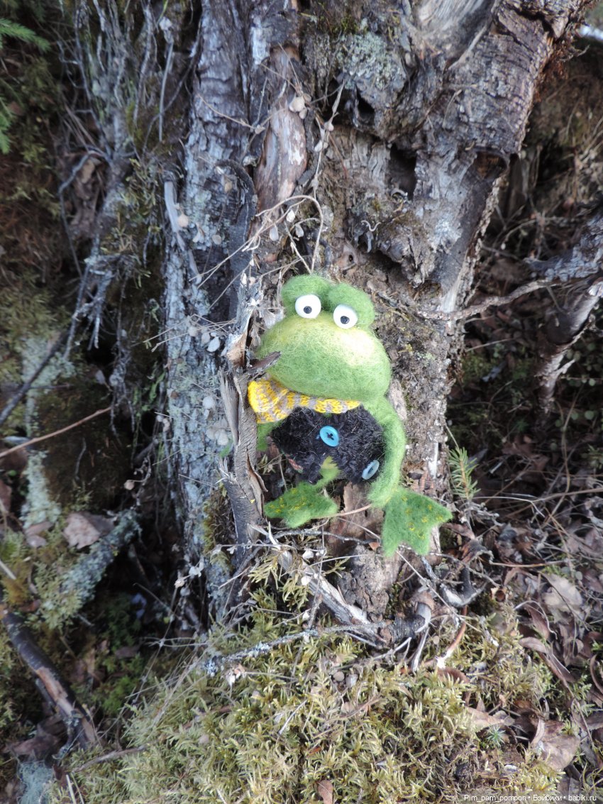 Мистер Фред Фрай Фрог потерял весну (фото 6)